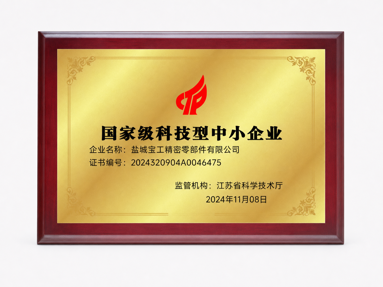 国家级科技型中小企业